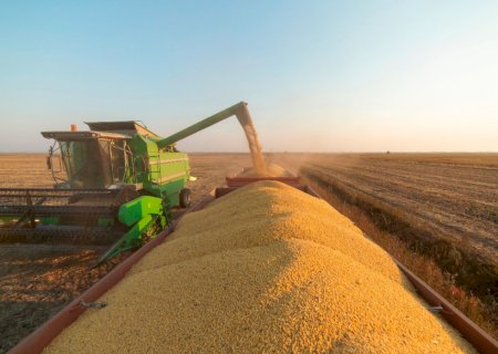 Colheita da soja avança em Mato Grosso do Sul e supera 560 mil hectares