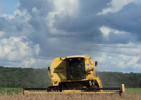 Mato Grosso do Sul colheu mais de 2 milhões de hectares de soja