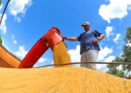 Colheita da soja já avançou por 3,3 milhões de hectares em Mato Grosso do Sul