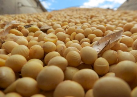 Sicredi lança relatório “Sondagem de Safras”