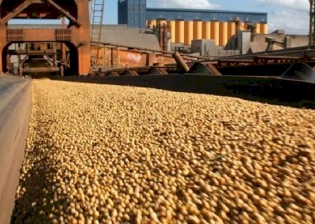 Exportações de MS chegam a US$ 3,1 bilhões no acumulado do 1º quadrimestre de 2024