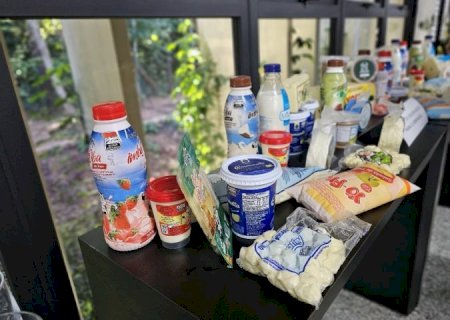 Governo de MS elabora plano de fomento à cadeia produtiva da pecuária leiteira