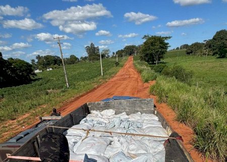 Caminhões e carro são apreendidos com 27 mil pacotes de cigarros e 10t de agrotóxicos