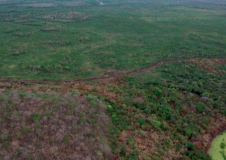 MP investiga fogo que destruiu mais de 20 hectares no Pantanal de MS