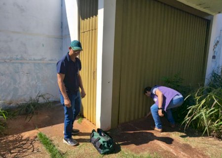 Prefeitura vistoria mais 4.373 imóveis em 3 dias encontra 20 focos do mosquito Aedes aegypti
