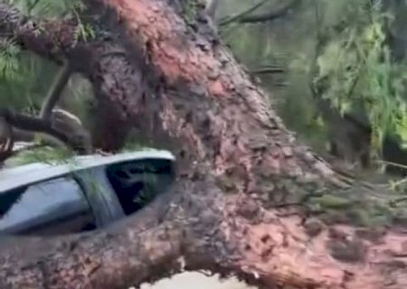 Temporal despeja quase 90 mm de chuva em Dourados e cidade lidera volume no Estado