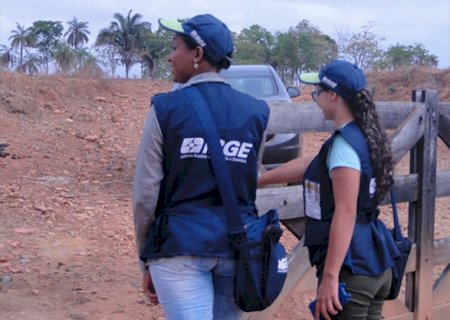 IBGE abre 284 vagas em MS para o Censo Agropecuário com salários de até R$ 4 mil