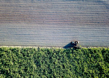 Nova Alvorada do Sul lidera produção de cana e impulsiona bioenergia em MS